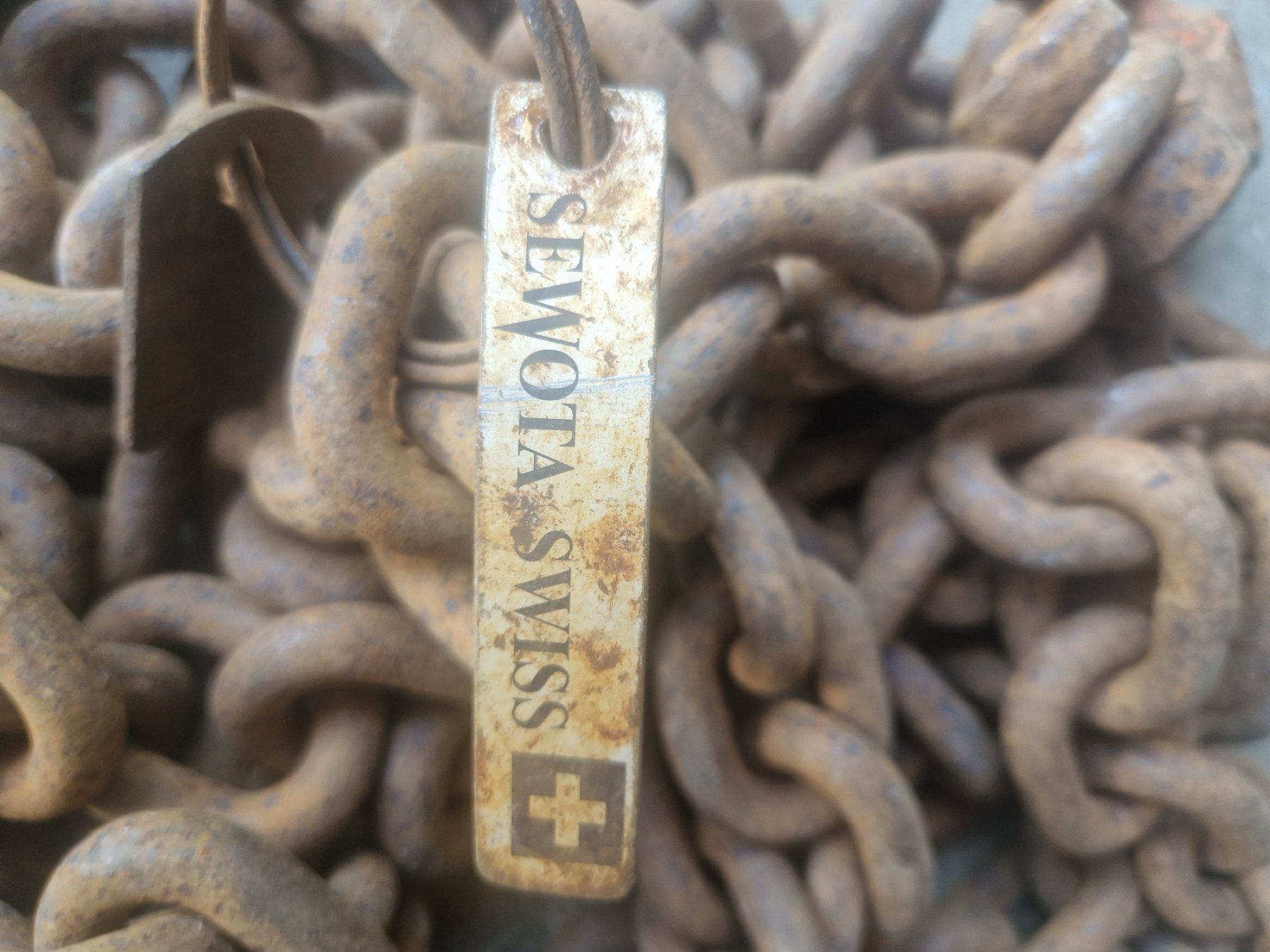 Paranco multiuso: Kette mit Spanner 10 T – Usato da Sumiswald venduto da ForstCounty 6