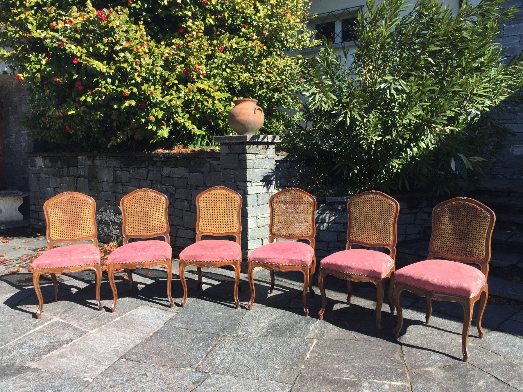 Sedie: Sechs antike Esszimmerstühle – Usato da Ronco sopra Ascona venduto da Falco008
