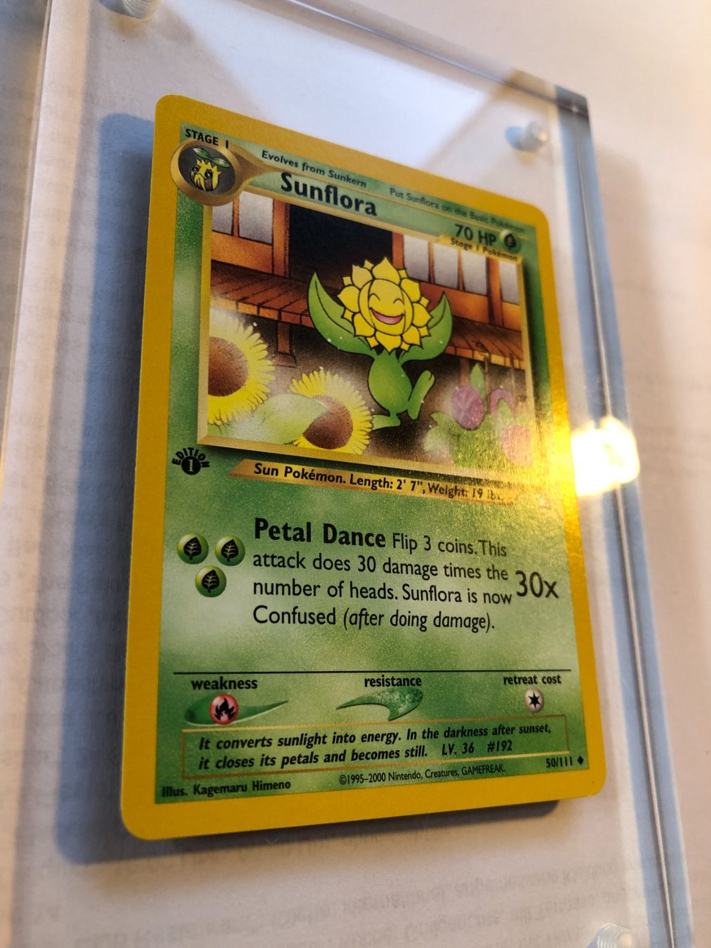 Carte collezionabili: Sunflora (unc.) 1st Neo Genesis - MINT - ab 1.- – Usato da Giubiasco venduto da dan_pr8b 1