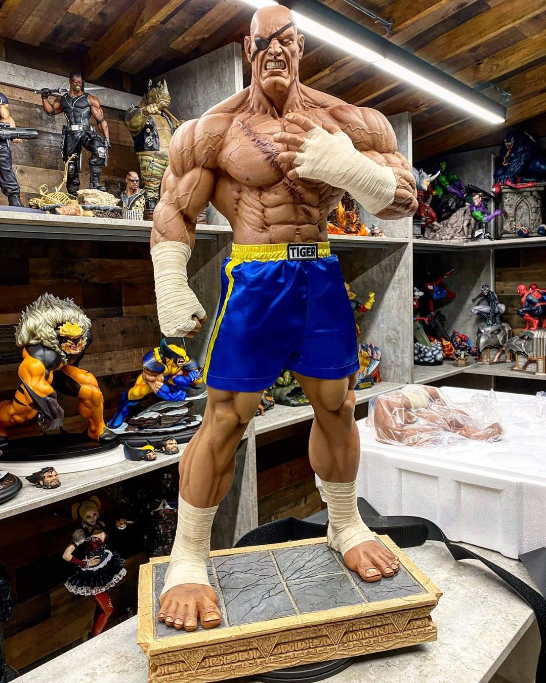 Statuette: Street Fighter Sagat – Usato da Niederrohrdorf venduto da elwey