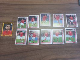 Panini Bilder WM 2010 Südafrika Schweiz Special Edition