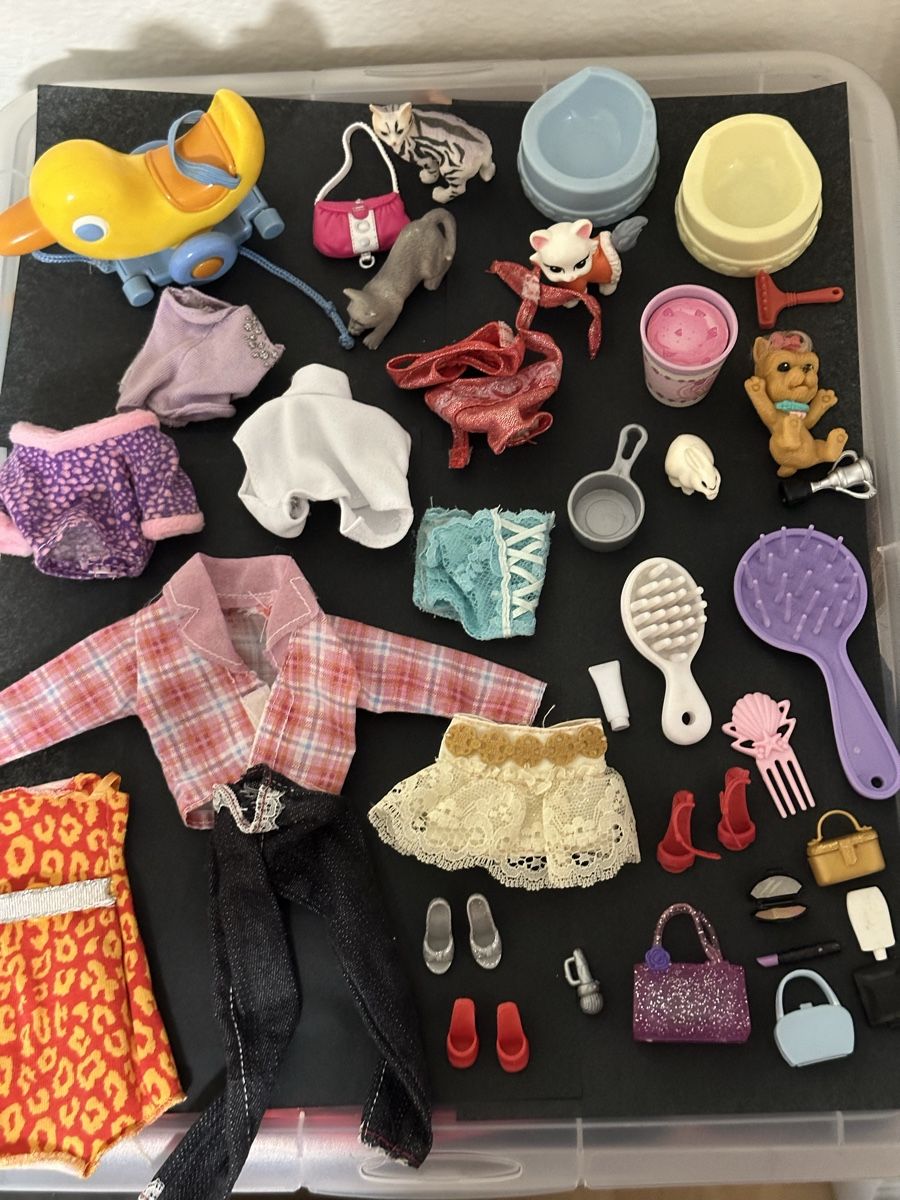 Hasbro Bambole: Barbie Puppen Sammlung mit Kleider und Accessoires – Usato da Wynau venduto da xRahelx 3