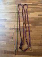Longierleine und Longierpeitsche