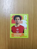 Panini WM 2026 Sticker - CAN 17