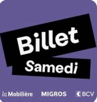 Billet Adulte Paléo Festival - Samedi 25.07.26
