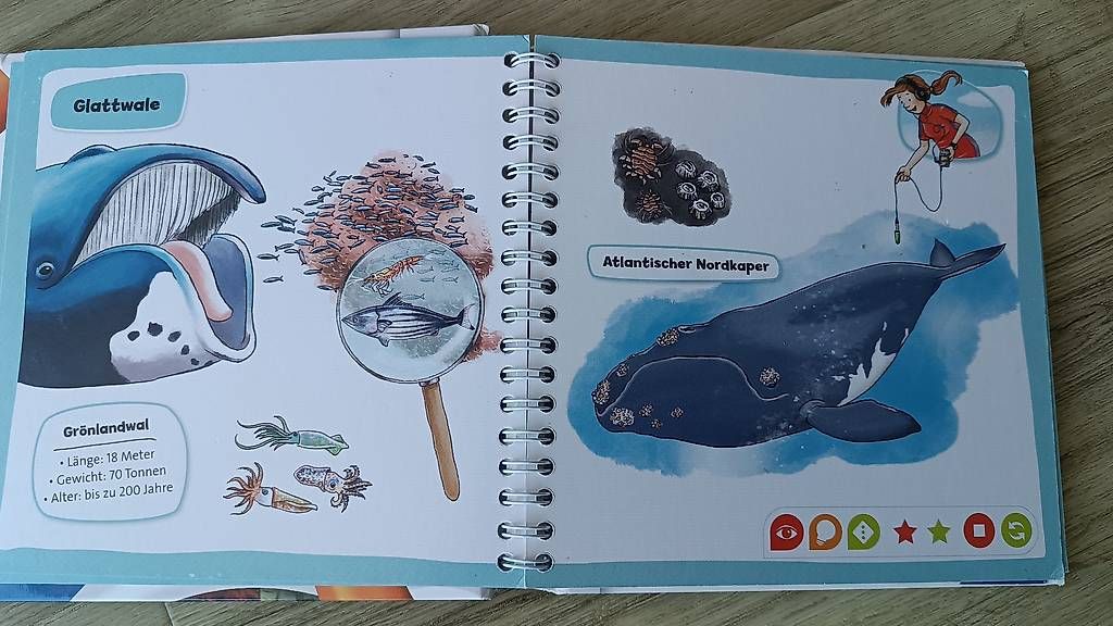 Libri: Tiptoi Pocket Wale und Delfine – Usato da Buttisholz venduto da Baendlifahrer 1