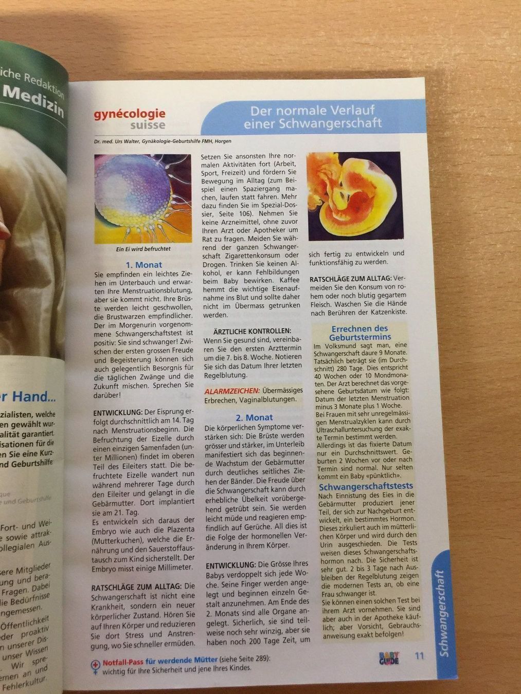 Libri: BABY GUIDE – Usato da Glattfelden venduto da cybermaxx 5