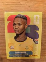 Panini Sticker 2026 RSA 19