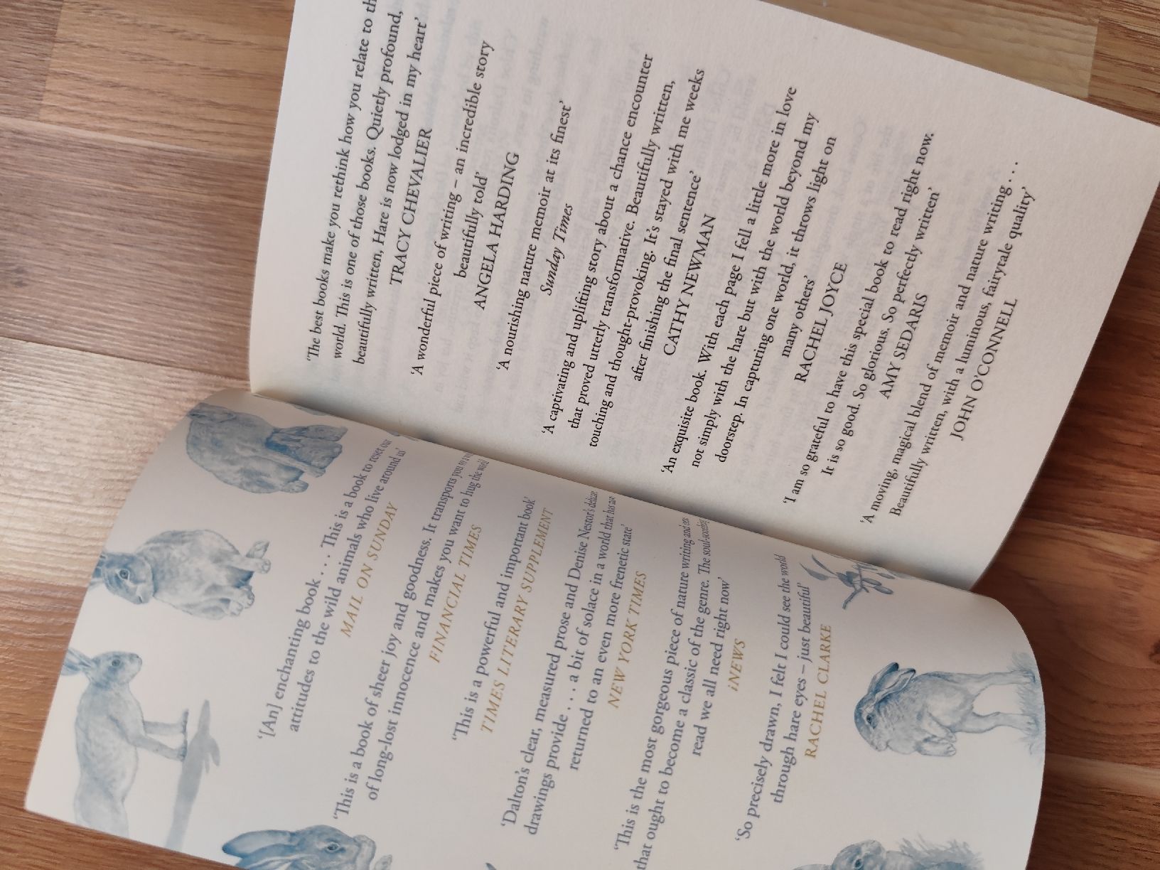 Bücher: Raising Hare by Chloe Dalton Book – Gebraucht aus Mägenwil von VintageGirly 8