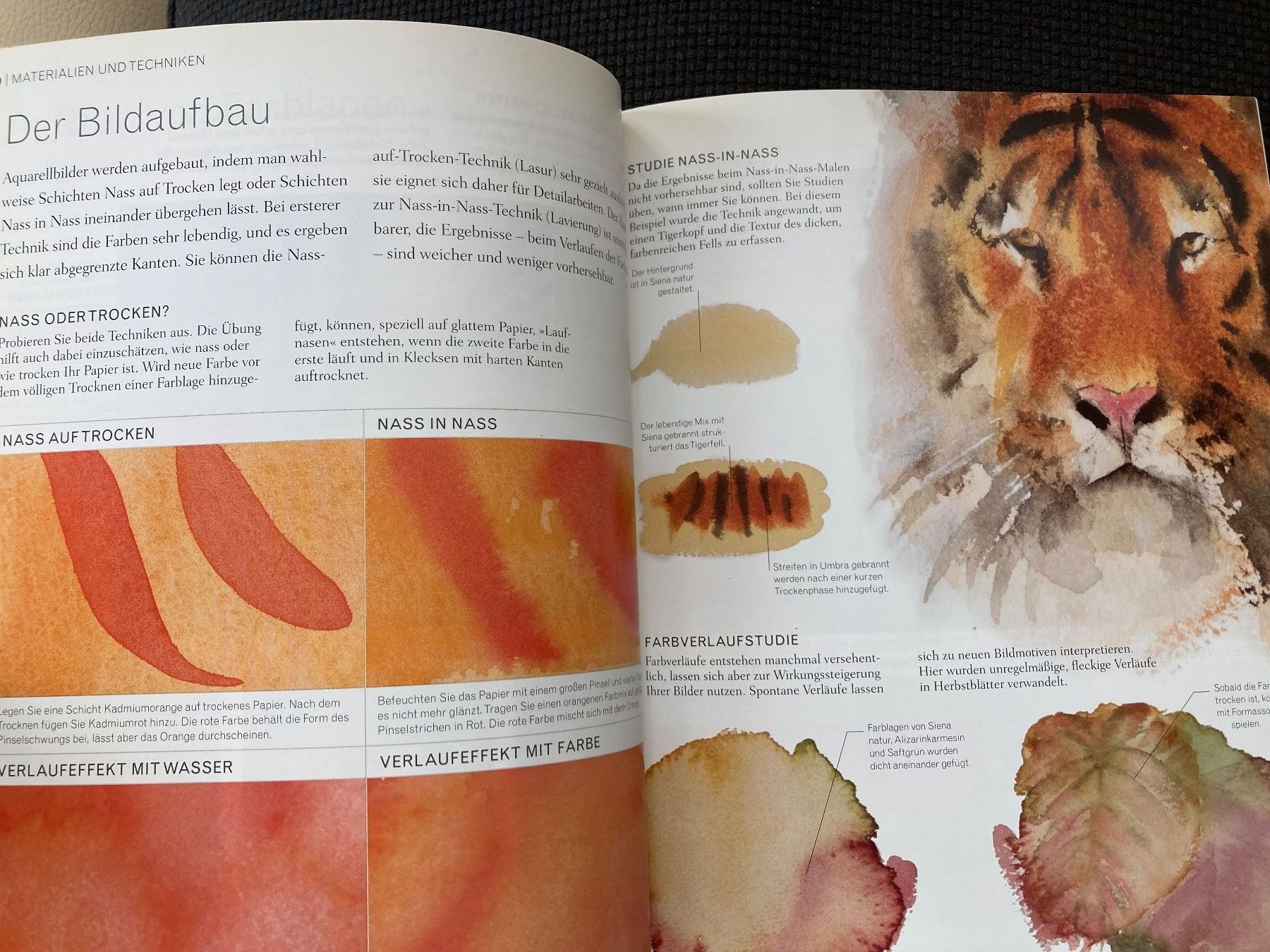 Livres: Aquarellmalerei, Aquarell malen – D'occasion à Baden par Yoyo1 4