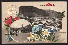 AK Zweisimmen, Gesamtansicht, Blumen