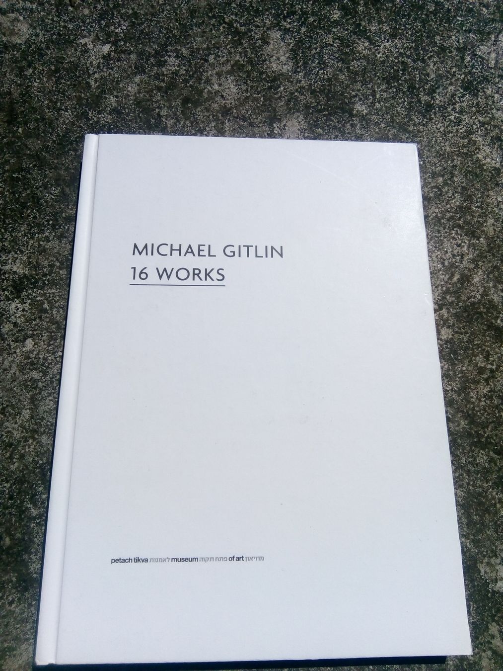 Libri: Michael Gitlin: 16 Works (Kunstbuch)   ©'2014 – Usato da St.Galllen venduto da elkaphone