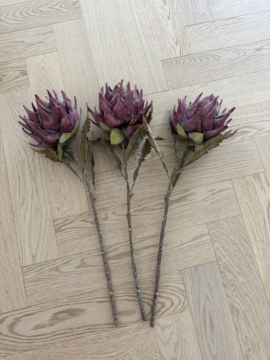 Pflanzen & Samen: Westwing - Kunstblume Protea – Neu und originalverpackt aus Horgen von Christina93Jolina