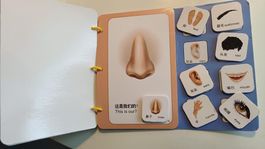 Lernbuch Körperteile Englisch - Chinesisch