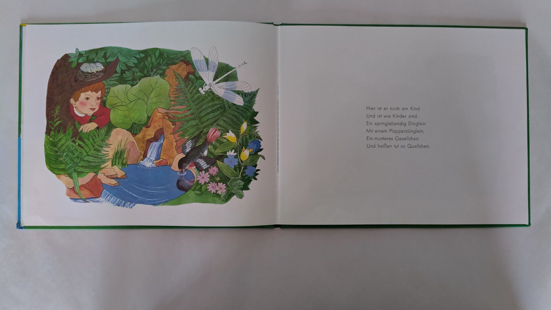 Libri: Die Geschichte vom Fluss - Bilderbuch 1976 ab Fr. 8.- – Usato da Bellach venduto da JingleJerry 3