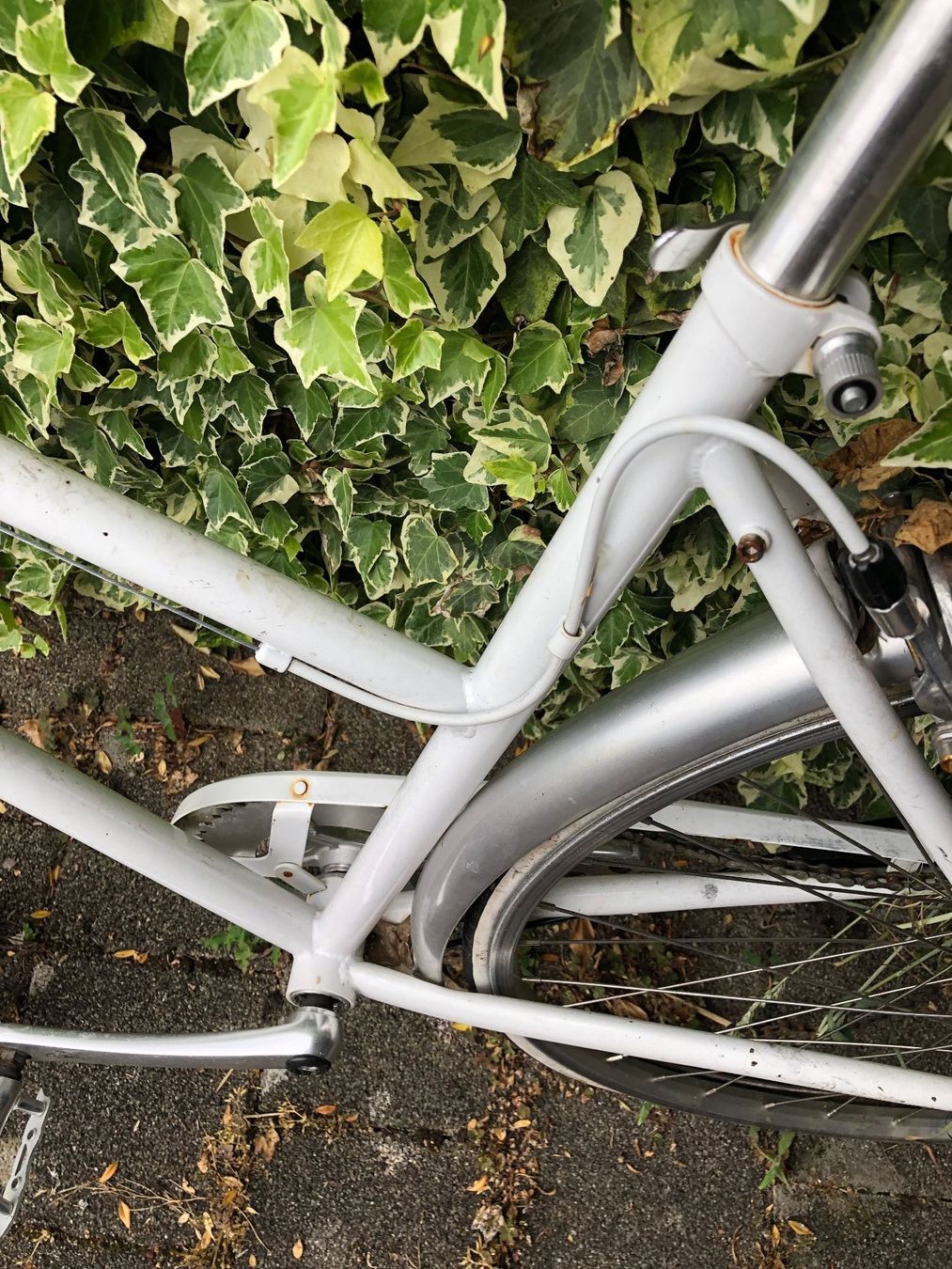 Biciclette: Siech Damenvelo ab 1.- – Difettoso da Oberweningen venduto da Jelo 3