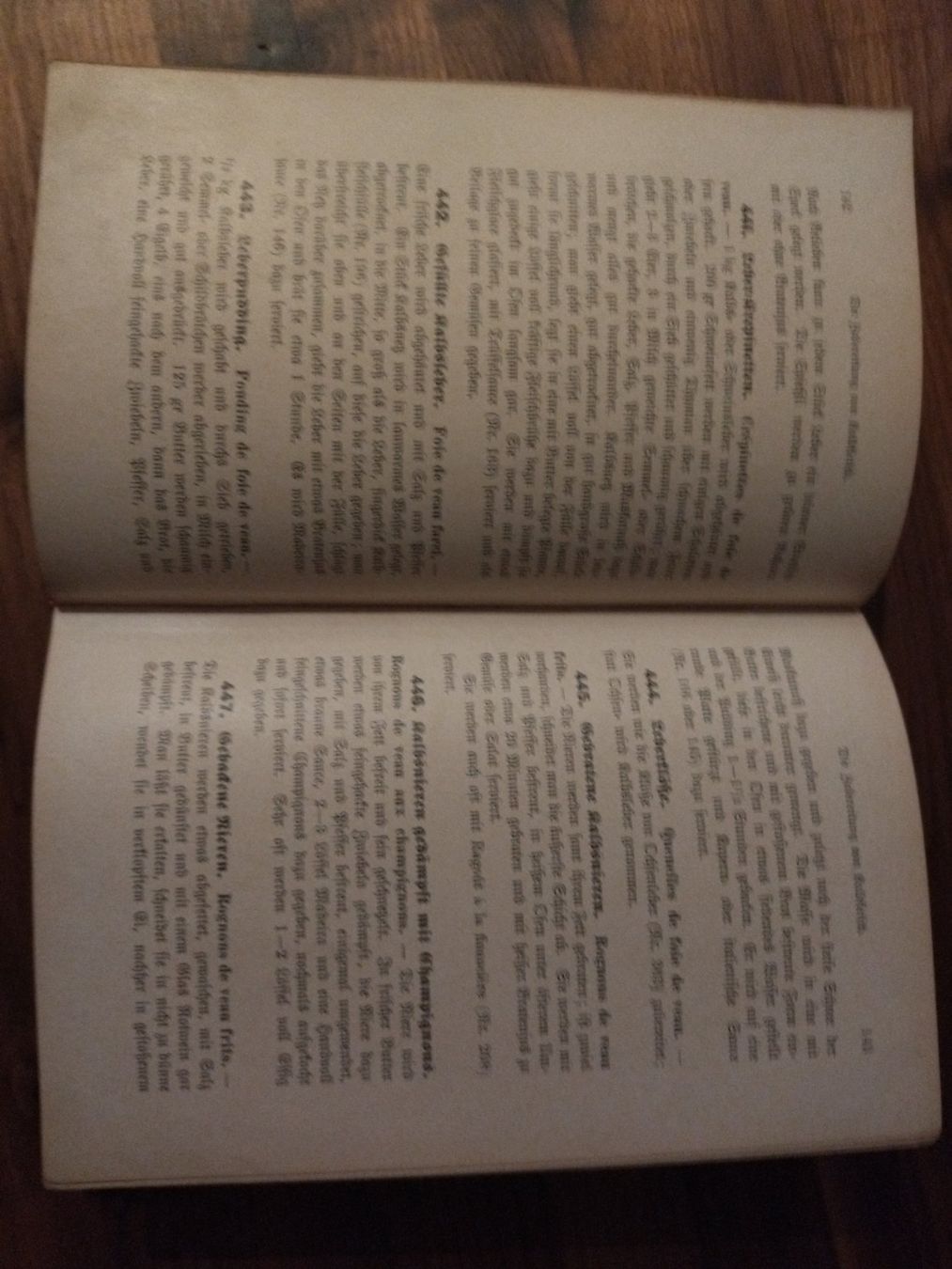 Libri: Kochbuch antik 1896 – Usato da Felben-Wellhausen venduto da bananajoe8474 4