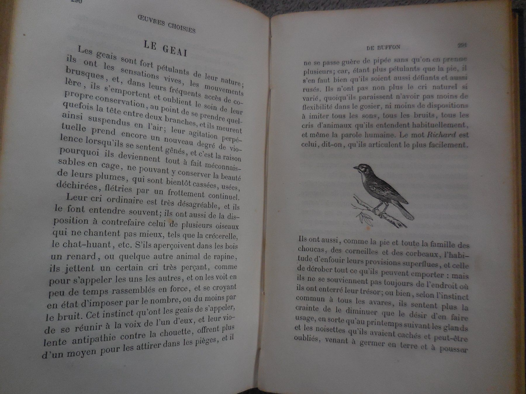 Libri: Oeuvres Choisies de Buffon 1869 – Usato da Meyrin venduto da toutatis 9