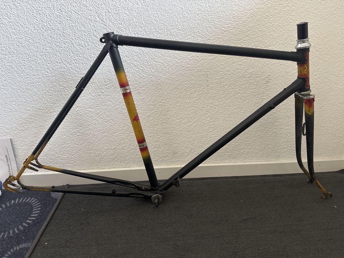 Tour de Suisse Vélos: Tour de Suisse Rahmen 56cm – D'occasion à Zürich par Perowe