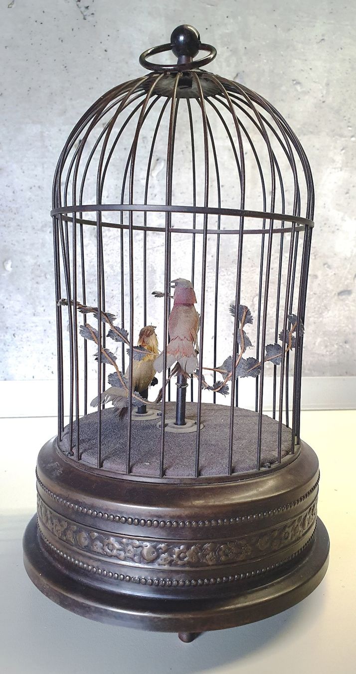 Les oiseaux chanteurs - Le Sappey en Chartreuse (38