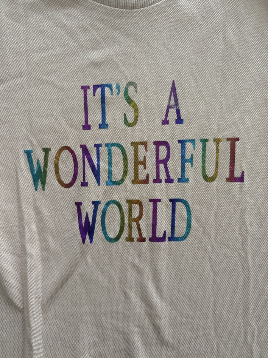 T-shirt: Alberta Ferretti T-Shirt, Grösse XS – Usato da Zollikon venduto da snowflake10- 1