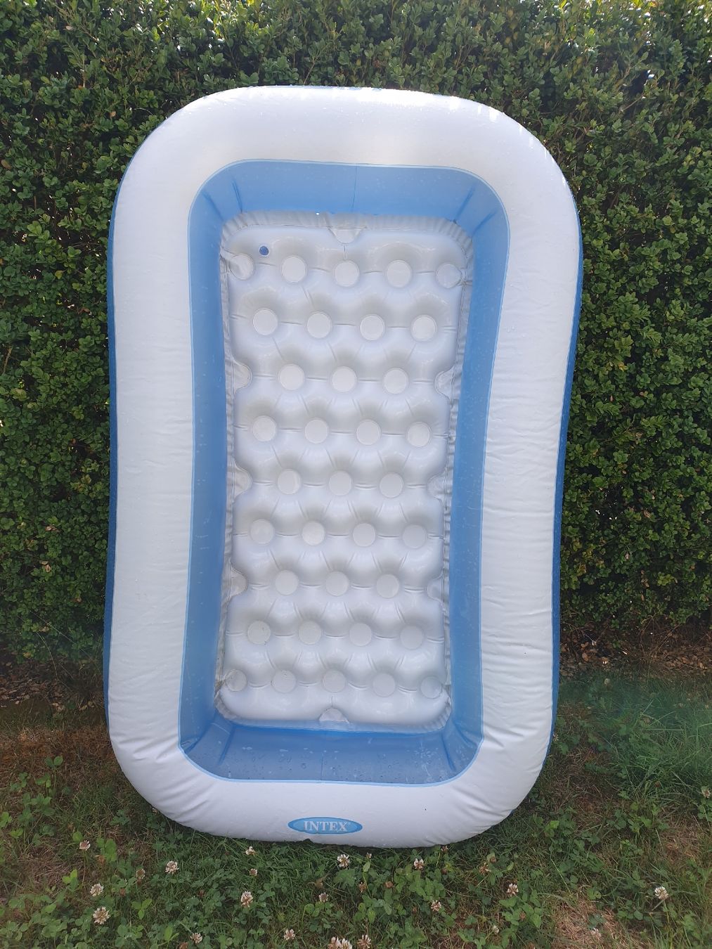 Intex Piscine: Planschbecken für Babies – Usato da Winterthur venduto da ets_yvn2