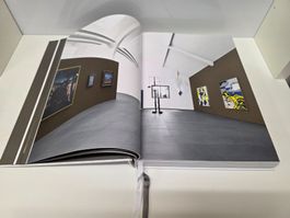 Buch Sammlung Esther Grether: Affinité Élective Kunst 2013