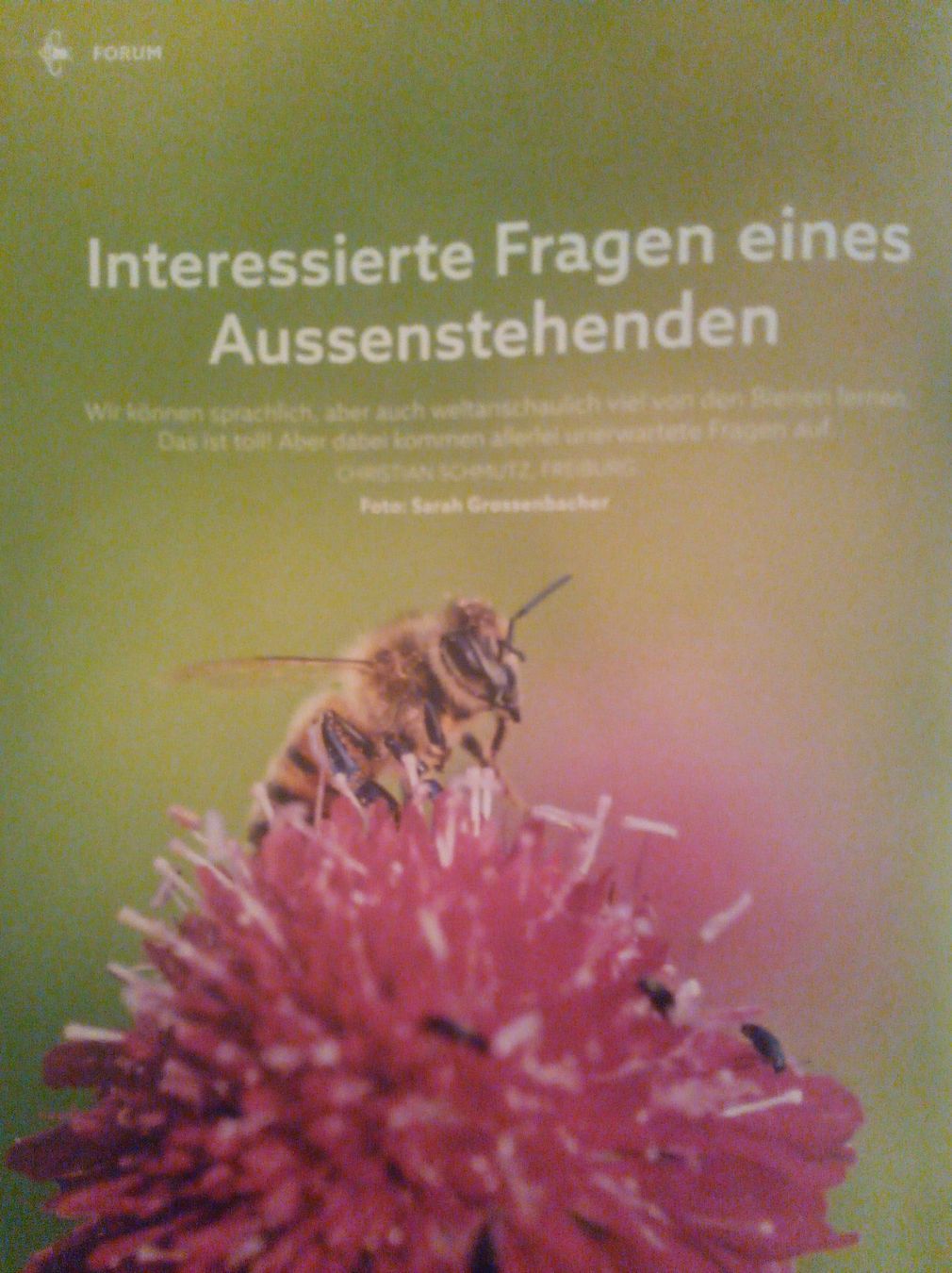 Riviste & Magazine: Schweizerische Bienenzeitung – Usato da Rüderswil venduto da pau_nt8f 2