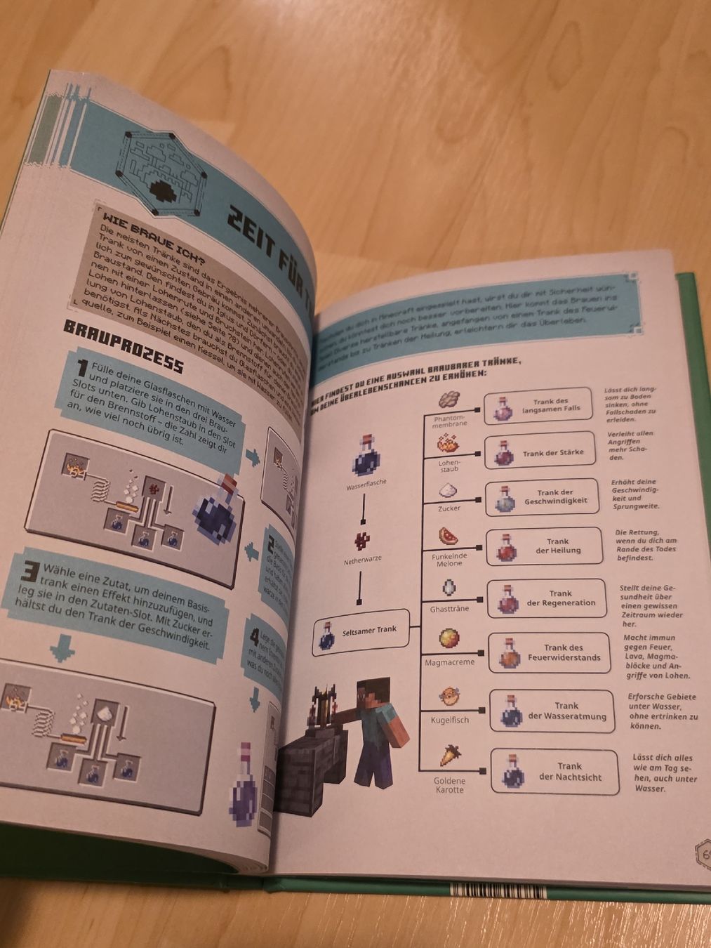 Bücher: Minecraft Handbuch – Neu (gemäss Beschreibung) aus Oberbüren von Skadi_83 2