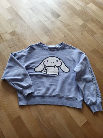 Hoodie - Magnifique Sweater - 146 -152 cms