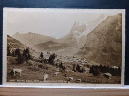 BE, No.19590, Mürren mit Blick auf Eiger und Wetterhorn 1912