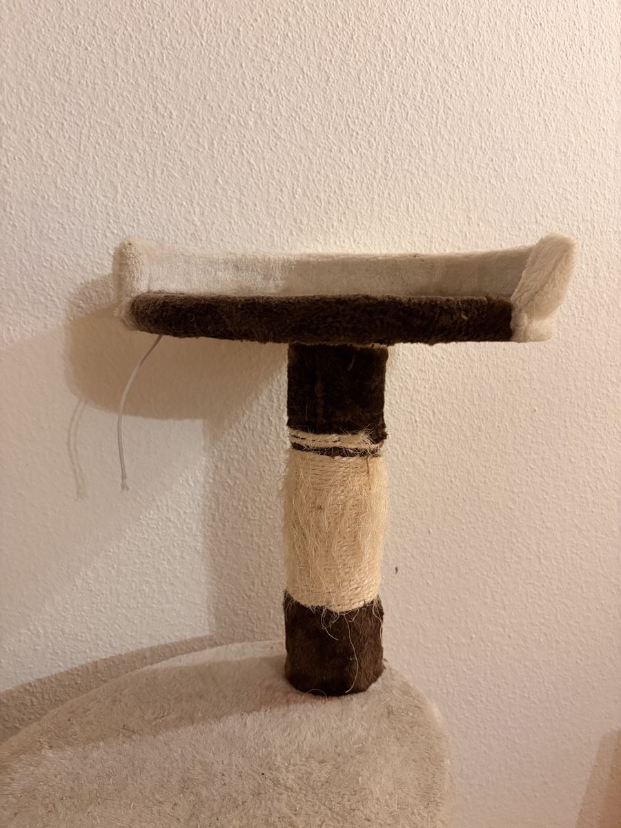 Tiragraffi: Kratzbaum für Katzen – Usato da Aarau venduto da Dotti3 3