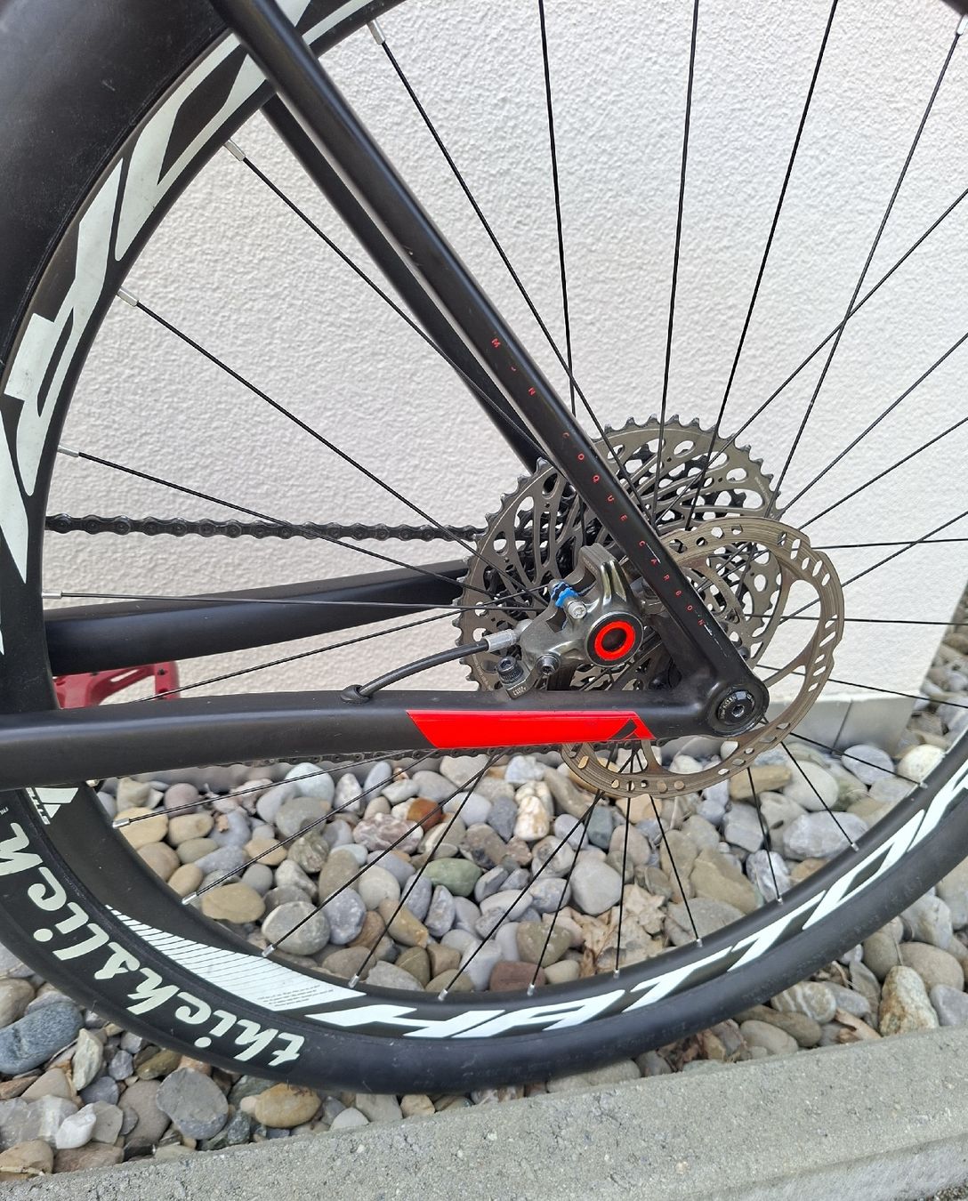 Bulls Biciclette: Bulls Black Adder SL29 Full Carbon – Usato da Luzern venduto da Bbig 7