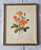 2/3 Stich gerahmt: 4 lachsfarbene Rosen Anne Marie Trechslin