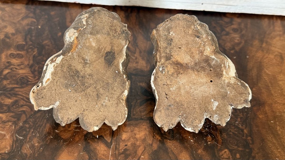 Sonstiges antikes Mobiliar: Löwentatzen antik, Möbelfüsse – Gebraucht aus Riedholz von Frettchen63 2