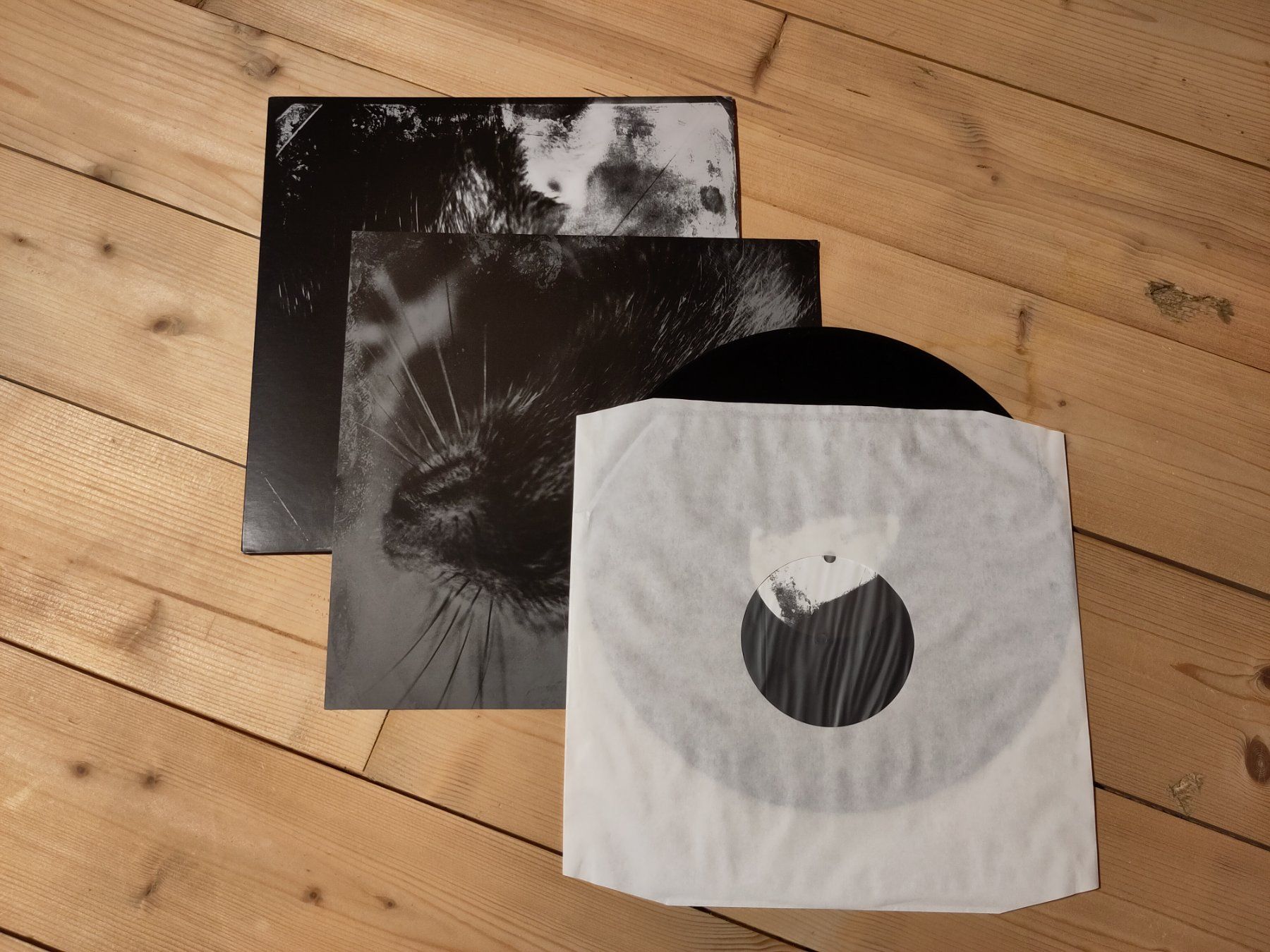 Dischi in vinile: Decline Of The I - Rebellion – Usato da Wasterkingen venduto da Palu17 1