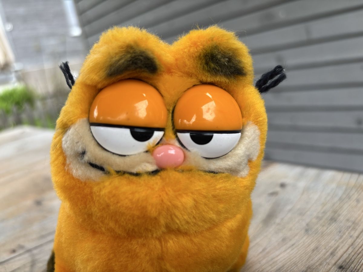 Giocattoli: Garfield Stofftier, Vintage 1981 – Usato da Würenlos venduto da Ashley24 3