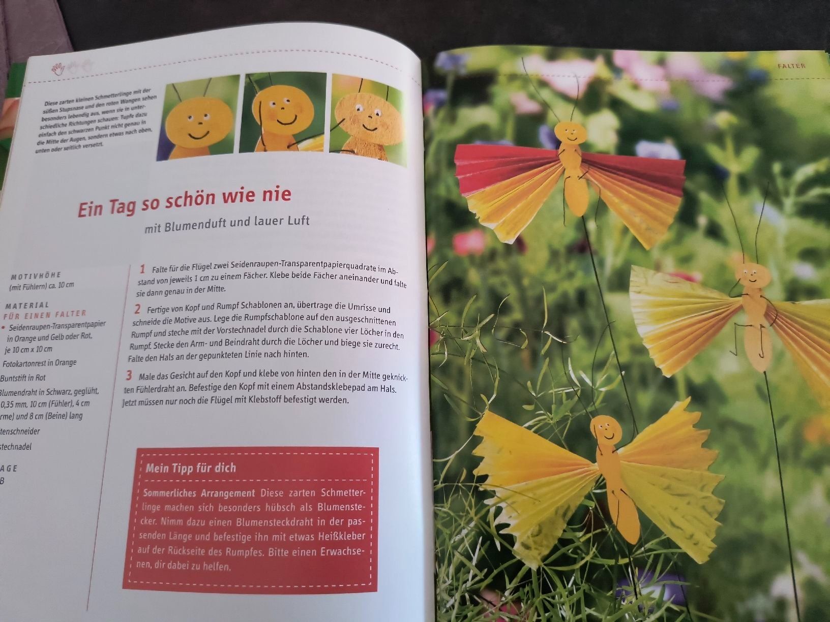 Libri: Faltideen einfach tierisch Buch Basteln mit Papier – Usato da Oberweningen venduto da Bumblebee2 2