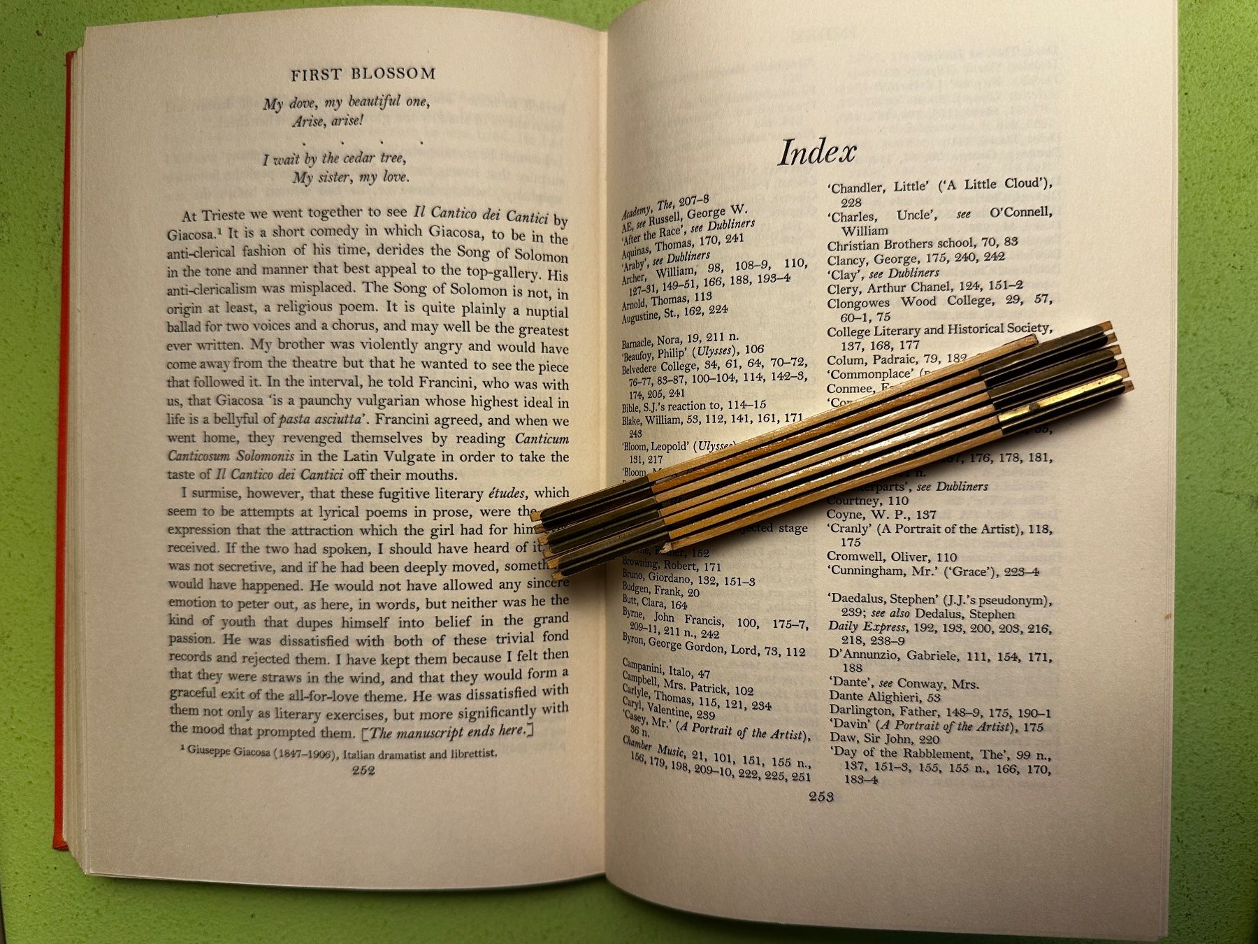 Libri: Stanislaus Joyce: My Brother's Keeper. EA 1958 – Usato da Zürich venduto da allp 7