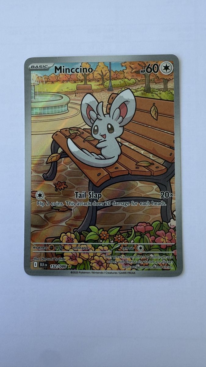 Pokémon Sammelbilder & Trading cards: Minccino 152/086 Black Bolt Illustration Rare – Neu (gemäss Beschreibung) aus Nottwil von fa_el