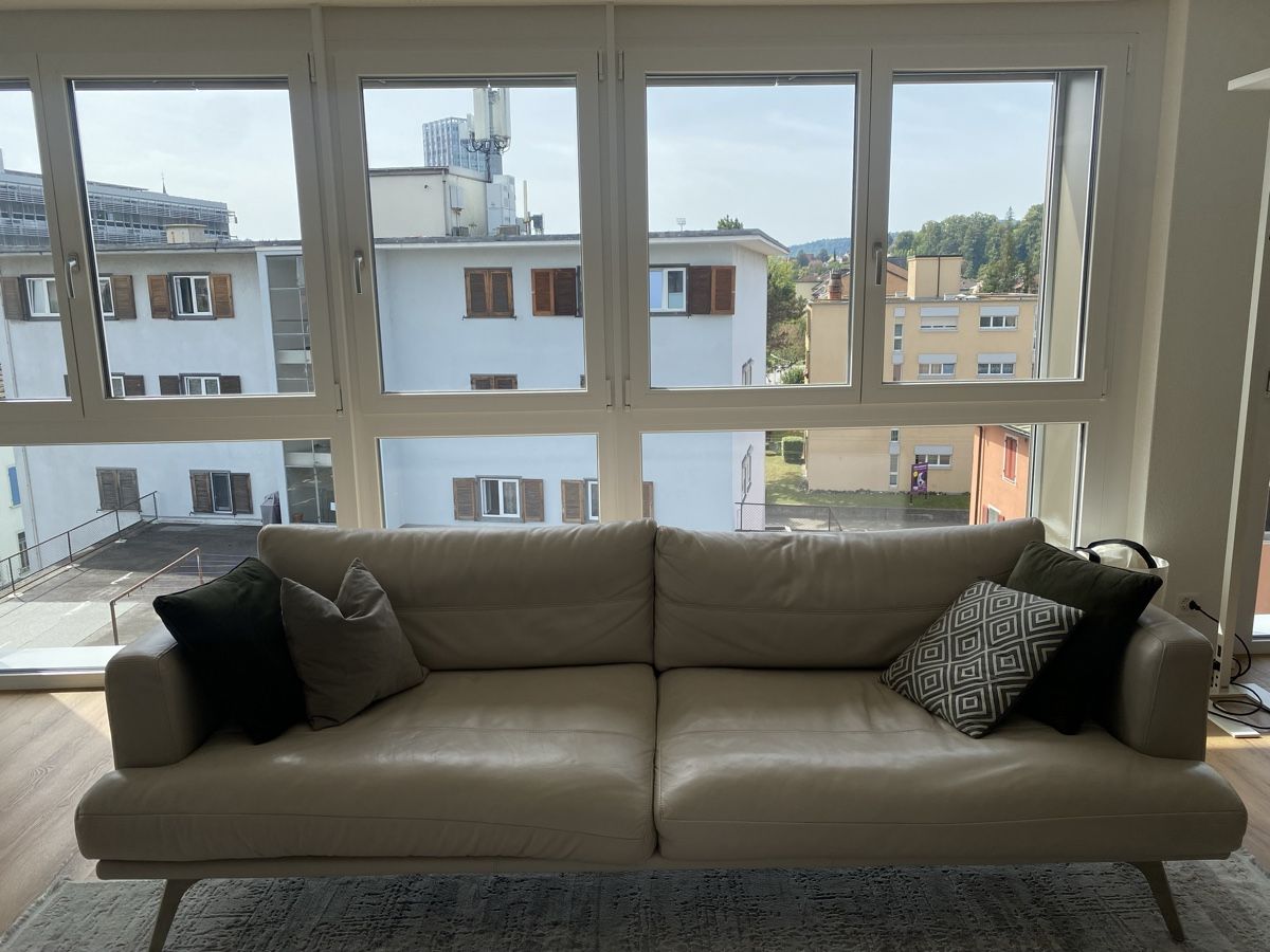 Sofas: Ledersofa in light gray – Gebraucht aus Winterthur von JasonHa 2