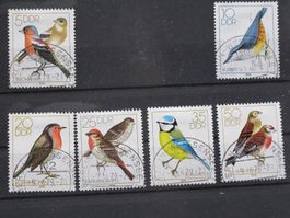 DDR 1979 Singvögel gest.