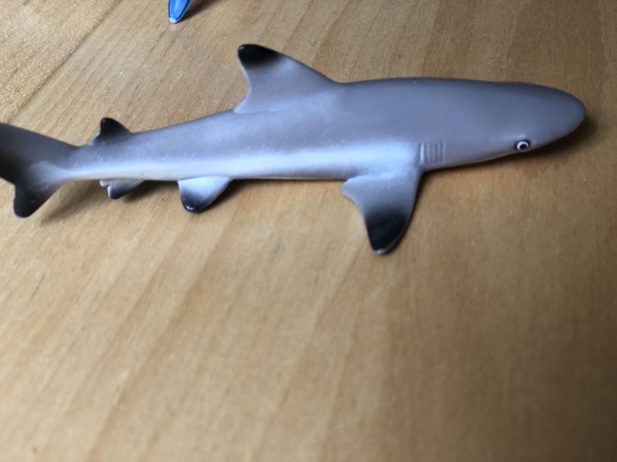 Schleich Giocattoli: Schleich requin – Usato da La Tour-de-Peilz venduto da zazen33 2