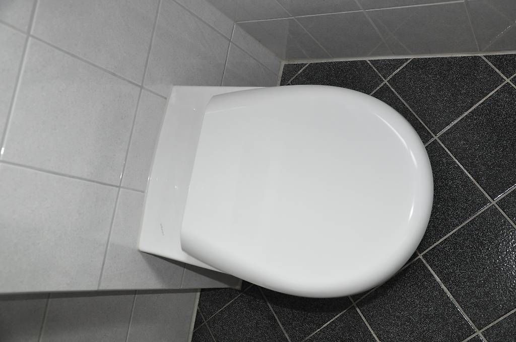 Laufen WC: WC Schüssel – Nuovo (secondo la descrizione) da Schindellegi venduto da gia_d7c5 1