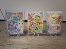 Pokemon First Partner Serie 2:  Chikorita Cyndaquil Totodile