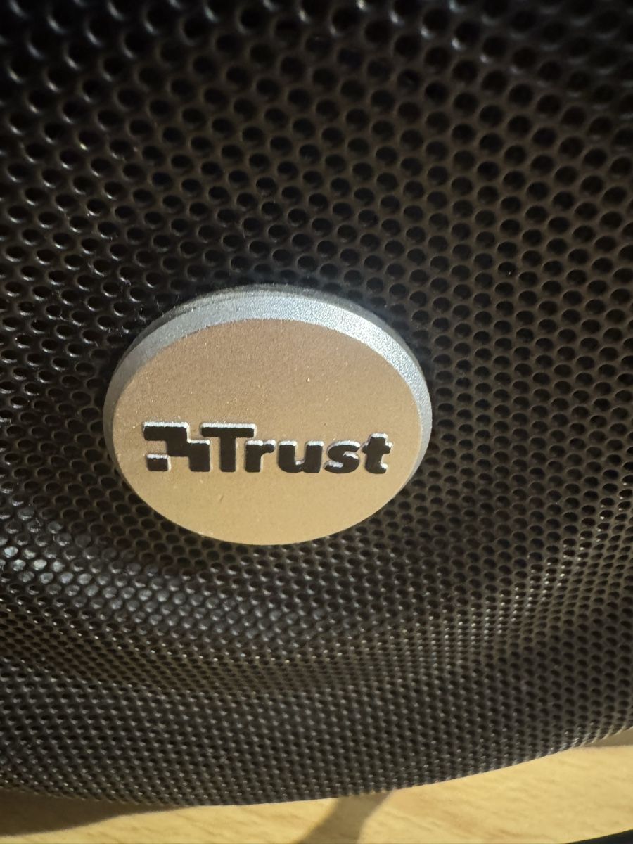 Trust Casse acustiche: Trust Lautsprechersystem 2.1 Holzoptik gebraucht – Usato da Teufen ZH venduto da cri_xmp6 1
