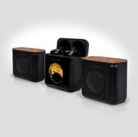 LINX Stereo Speaker System with TWS