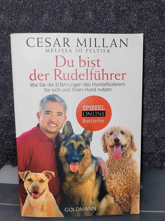Libri: Cesar Millan - Du bist der Rudelführer – Usato da Boll venduto da ttr-fun