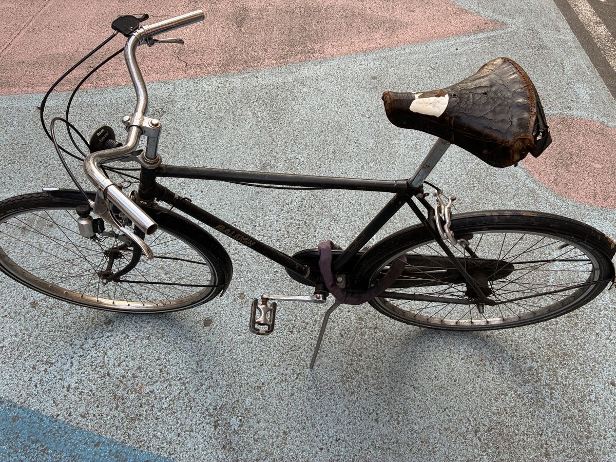 Raleigh Velos: Raleigh Velo – Gebraucht aus Basel von isabellebeck 1