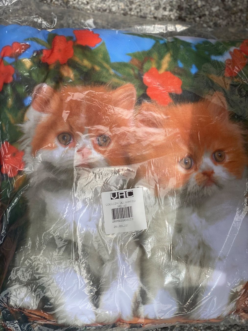 Cuscini: Lot de coussins décoratifs chat – Usato da Chermignon-Bas venduto da mioumiou34 1